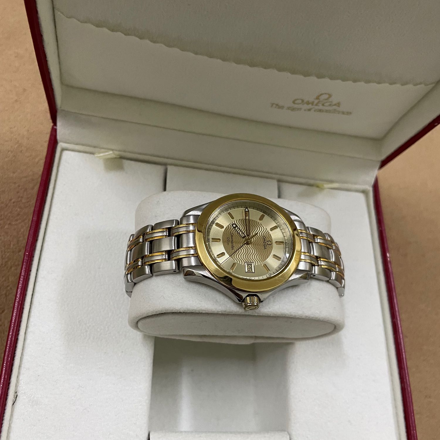 Omega Seamaster Watch